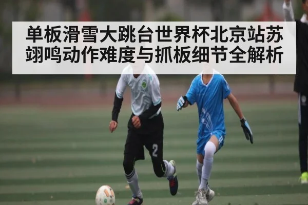 单板滑雪大跳台世界杯北京站苏翊鸣动作难度与抓板细节全解析 - www c7c7 app